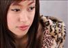 Thailand Talent - MC, Pretty, Singers, Dancers, Promotion Girls, Modeling, Recruitment Agency For The Entertainment Industry Bangkok - www.thailandtalent.com?spcmaid