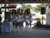 Thailand Talent - MC, Pretty, Singers, Dancers, Promotion Girls, Modeling, Recruitment Agency For The Entertainment Industry Bangkok - www.thailandtalent.com?Golf_Expro2013