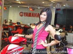 Thailand Talent - MC, Pretty, Singers, Dancers, Promotion Girls, Modeling, Recruitment Agency For The Entertainment Industry Bangkok - http://www.thailandtalent.com?pretty_milky