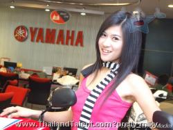 Thailand Talent - MC, Pretty, Singers, Dancers, Promotion Girls, Modeling, Recruitment Agency For The Entertainment Industry Bangkok - http://www.thailandtalent.com?pretty_milky