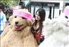 Thailand Talent - MC, Pretty, Singers, Dancers, Promotion Girls, Modeling, Recruitment Agency For The Entertainment Industry Bangkok - www.thailandtalent.com?momolita_so