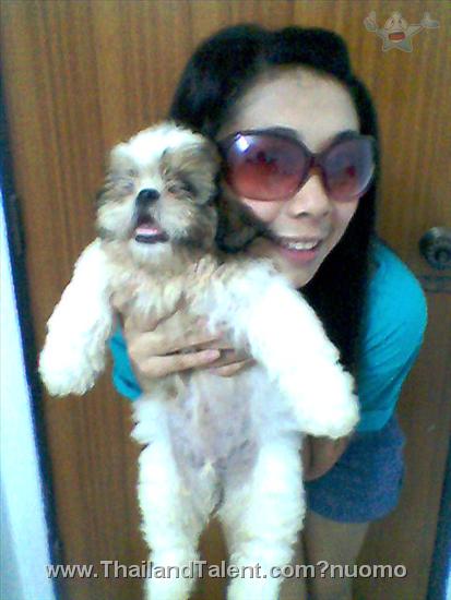 Thailand Talent - MC, Pretty, Singers, Dancers, Promotion Girls, Modeling, Recruitment Agency For The Entertainment Industry Bangkok - http://www.thailandtalent.com?nuomo