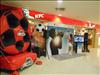 Thailand Talent - MC, Pretty, Singers, Dancers, Promotion Girls, Modeling, Recruitment Agency For The Entertainment Industry Bangkok - www.thailandtalent.com?KFC7ShootBK12