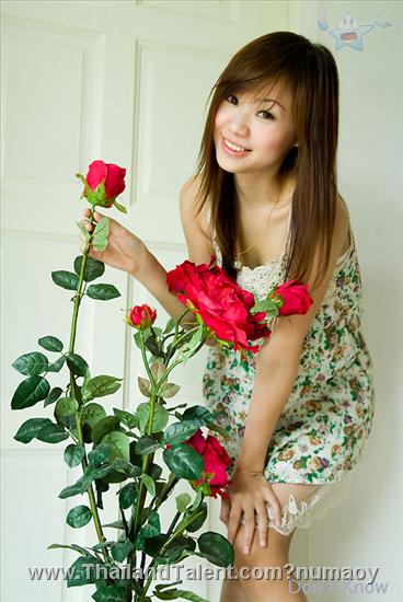 Thailand Talent - MC, Pretty, Singers, Dancers, Promotion Girls, Modeling, Recruitment Agency For The Entertainment Industry Bangkok - http://www.thailandtalent.com?numaoy