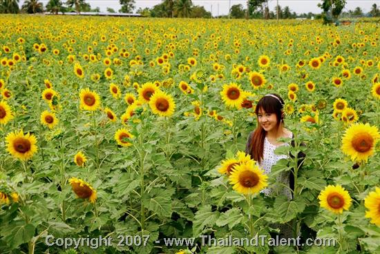 Thailand Talent - MC, Pretty, Singers, Dancers, Promotion Girls, Modeling, Recruitment Agency For The Entertainment Industry Bangkok - http://www.thailandtalent.com?kantima