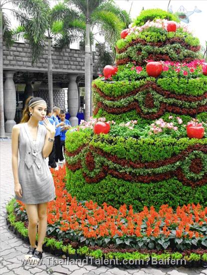 Thailand Talent - MC, Pretty, Singers, Dancers, Promotion Girls, Modeling, Recruitment Agency For The Entertainment Industry Bangkok - http://www.thailandtalent.com?Baifern
