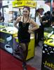 Thailand Talent - MC, Pretty, Singers, Dancers, Promotion Girls, Modeling, Recruitment Agency For The Entertainment Industry Bangkok - www.thailandtalent.com?Goddess