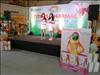 Thailand Talent - MC, Pretty, Singers, Dancers, Promotion Girls, Modeling, Recruitment Agency For The Entertainment Industry Bangkok - www.thailandtalent.com?ProflexDiva_CM