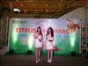 Thailand Talent - MC, Pretty, Singers, Dancers, Promotion Girls, Modeling, Recruitment Agency For The Entertainment Industry Bangkok - www.thailandtalent.com?ProflexDiva_CM
