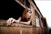 Thailand Talent - MC, Pretty, Singers, Dancers, Promotion Girls, Modeling, Recruitment Agency For The Entertainment Industry Bangkok - www.thailandtalent.com?prettyinthai