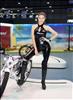 Thailand Talent - MC, Pretty, Singers, Dancers, Promotion Girls, Modeling, Recruitment Agency For The Entertainment Industry Bangkok - www.thailandtalent.com?Pt_Grace