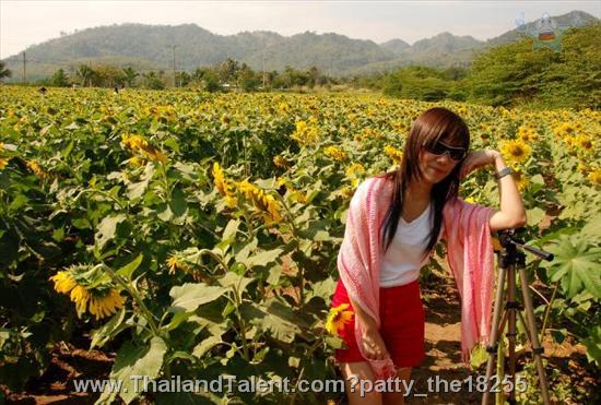 Thailand Talent - MC, Pretty, Singers, Dancers, Promotion Girls, Modeling, Recruitment Agency For The Entertainment Industry Bangkok - http://www.thailandtalent.com?patty_the18255