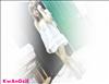 Thailand Talent - MC, Pretty, Singers, Dancers, Promotion Girls, Modeling, Recruitment Agency For The Entertainment Industry Bangkok - www.thailandtalent.com?tanita