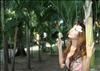 Thailand Talent - MC, Pretty, Singers, Dancers, Promotion Girls, Modeling, Recruitment Agency For The Entertainment Industry Bangkok - www.thailandtalent.com?pangpangko