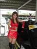Thailand Talent - MC, Pretty, Singers, Dancers, Promotion Girls, Modeling, Recruitment Agency For The Entertainment Industry Bangkok - www.thailandtalent.com?little_rabbit