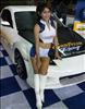 Thailand Talent - MC, Pretty, Singers, Dancers, Promotion Girls, Modeling, Recruitment Agency For The Entertainment Industry Bangkok - www.thailandtalent.com?little_rabbit