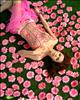 Thailand Talent - MC, Pretty, Singers, Dancers, Promotion Girls, Modeling, Recruitment Agency For The Entertainment Industry Bangkok - www.thailandtalent.com?weerayut