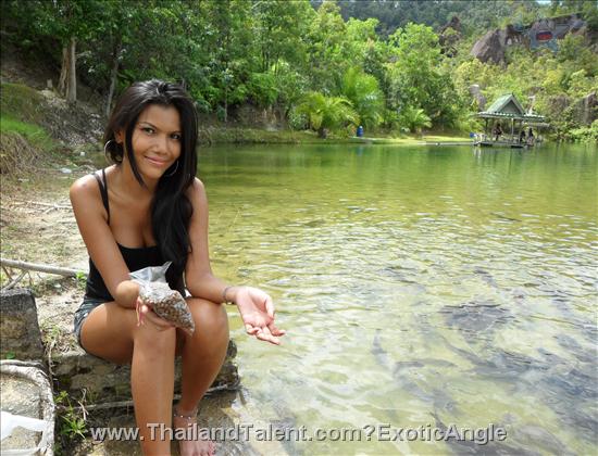 Thailand Talent - MC, Pretty, Singers, Dancers, Promotion Girls, Modeling, Recruitment Agency For The Entertainment Industry Bangkok - http://www.thailandtalent.com?ExoticAngle