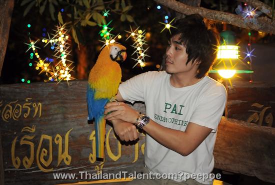 Thailand Talent - MC, Pretty, Singers, Dancers, Promotion Girls, Modeling, Recruitment Agency For The Entertainment Industry Bangkok - http://www.thailandtalent.com?peepoe